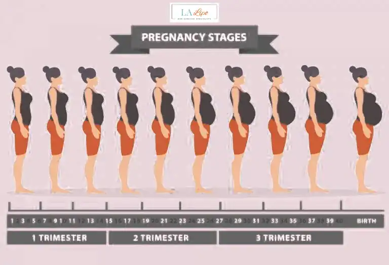 First Trimester (Weeks 1–12): Early Changes You Might Not Notice Enfield Lock